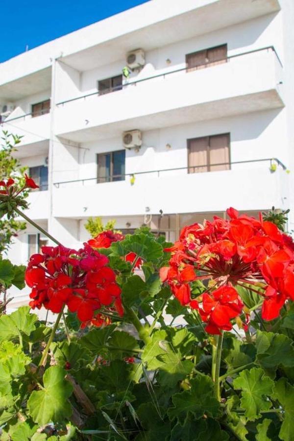Nikos Bnb Φαληράκι Εξωτερικό φωτογραφία